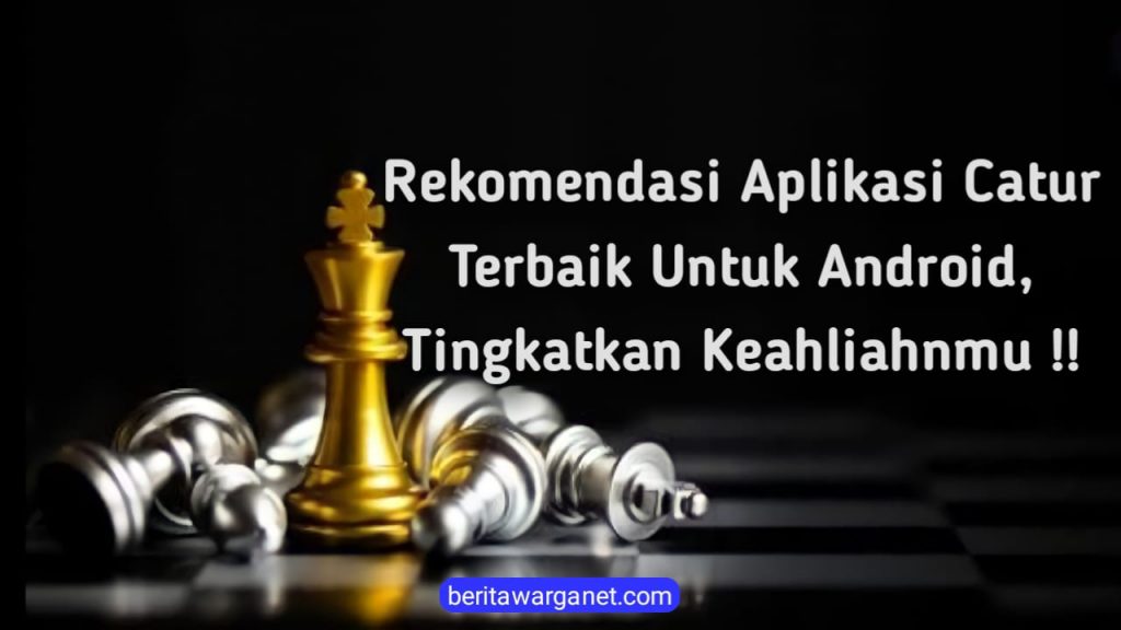 Aplikasi Catur Poster
