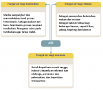 fungsi air