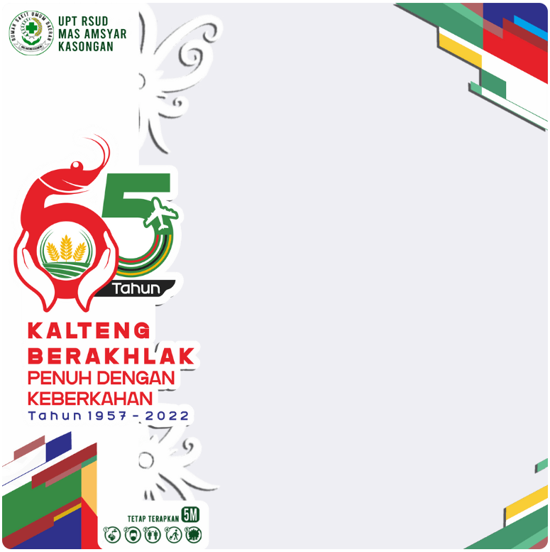 Twibbon 65th Anniversary Kalimantan Tengah Choice 5
