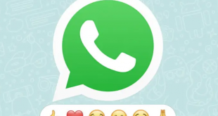 Cara Menggunakan Reaksi Pesan di Whatsapp