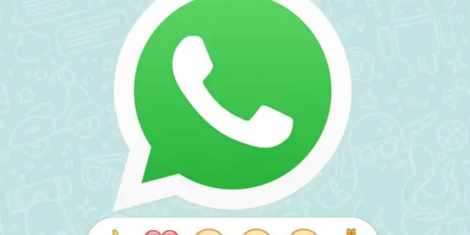 Cara Menggunakan Reaksi Pesan di Whatsapp