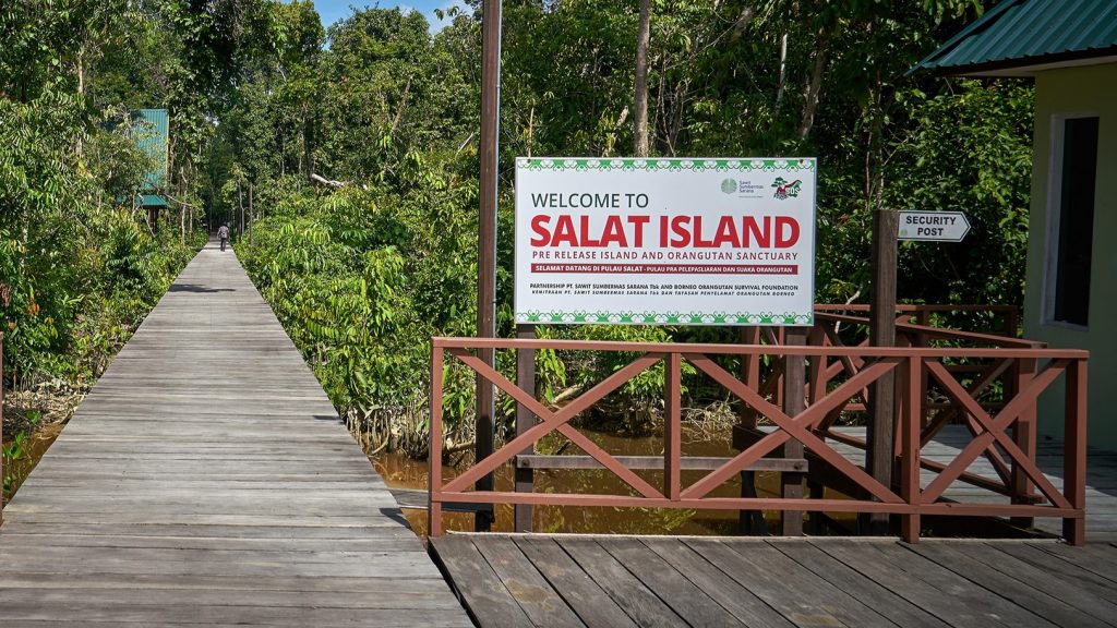 Tempat Wisata Pulau Salat di Pulang Pisau