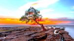Wisata Alam Pantai Kuri Maros
