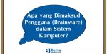 Apa yang Dimaksud Pengguna (Brainware) dalam Sistem Komputer?