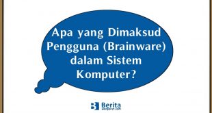 Apa yang Dimaksud Pengguna (Brainware) dalam Sistem Komputer?