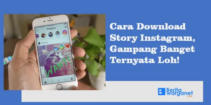 Cara Download Story Instagram, Gampang Banget Ternyata Loh!