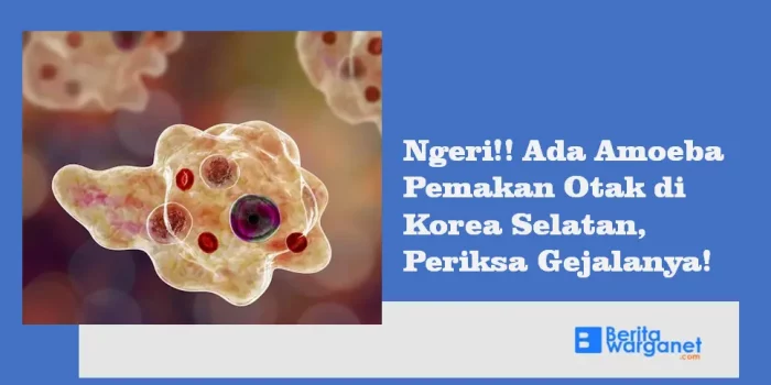 Ngeri!! Ada Amoeba Pemakan Otak di Korea Selatan, Periksa Gejalanya!