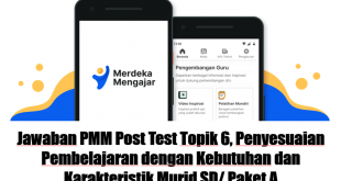 Jawaban PMM Post Test Topik 6, Penyesuaian Pembelajaran dengan Kebutuhan dan Karakteristik Murid SD/ Paket A