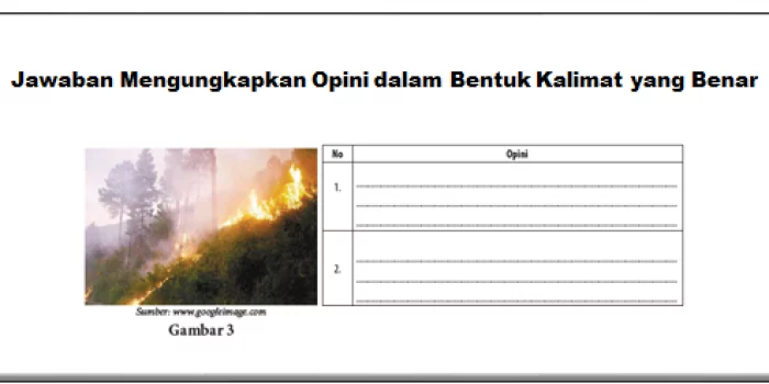 Jawaban Mengungkapkan Opini dalam Bentuk Kalimat yang Benar