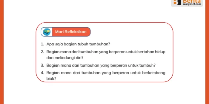 Jawaban Soal Refleksi tentang Bagian Tubuh Tumbuhan