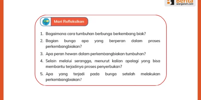 Jawaban Soal Refleksi tentang Cara Tumbuhan Berbunga Berkembangbiak