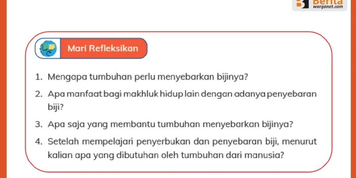 Jawaban Soal Refleksi tentang Penyebaran Biji Tumbuhan