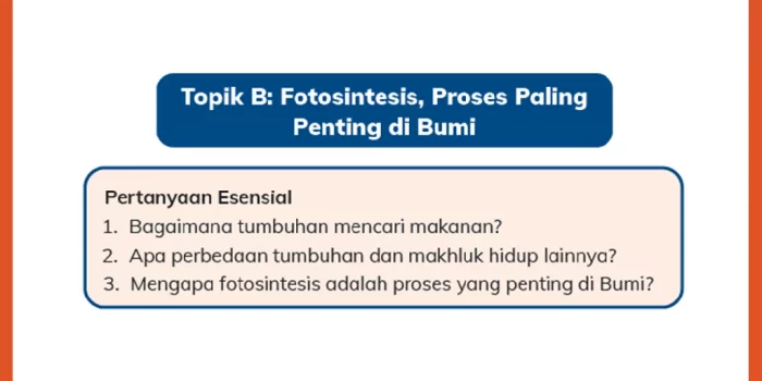 Jawaban Soal tentang Fotosintesis Proses Paling Penting di Bumi