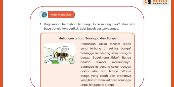 Jawaban Soal tentang Penyerbukan pada Teks Hubungan antara Serangga dan Bunga