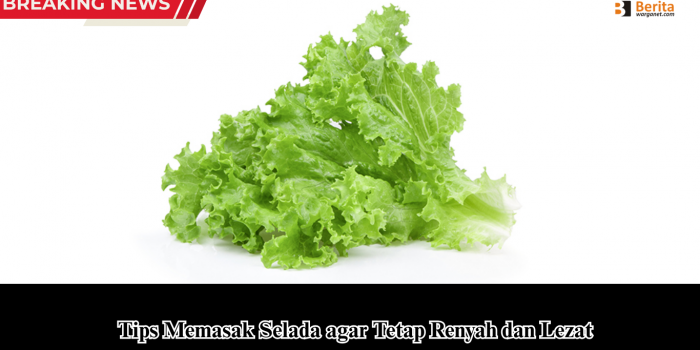 Tips Memasak Selada agar Tetap Renyah dan Lezat