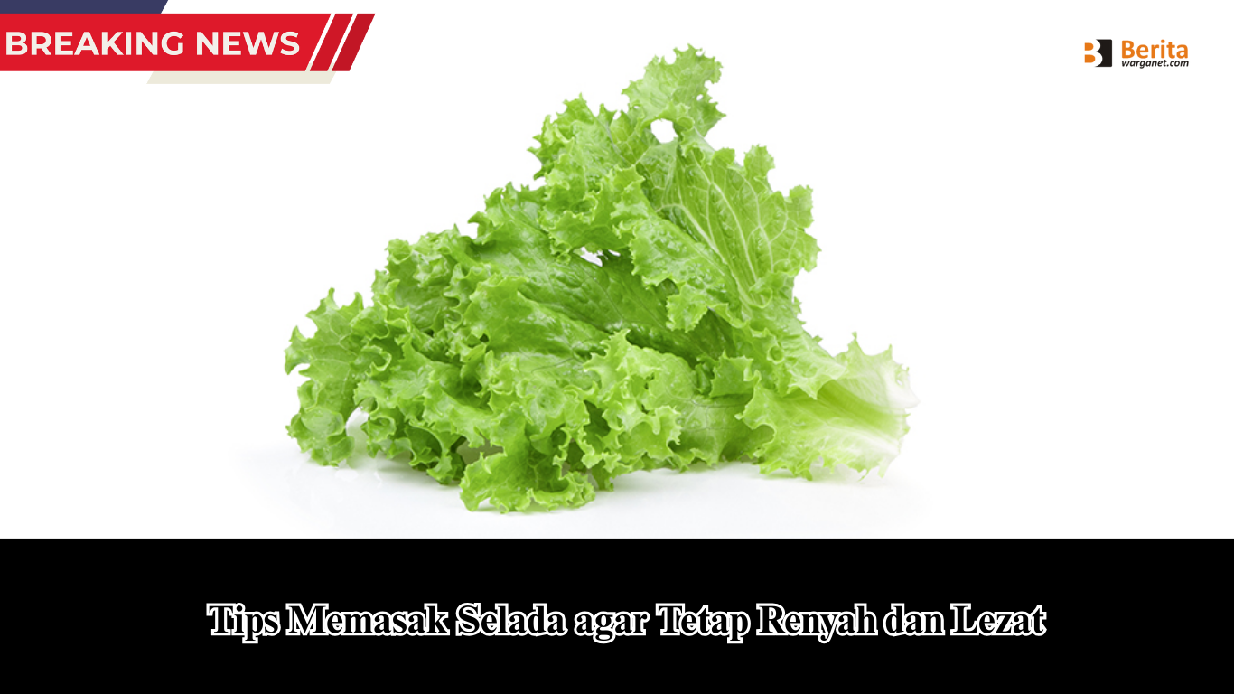 Tips Memasak Selada agar Tetap Renyah dan Lezat