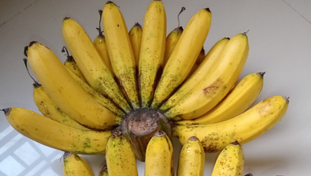 Manfaat Pisang Barangan