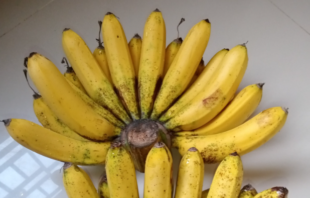 Manfaat Pisang Barangan
