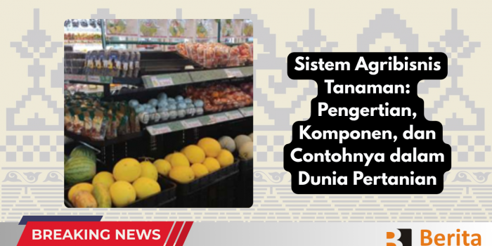 Sistem Agribisnis Tanaman Pengertian, Komponen, dan Contohnya dalam Dunia Pertanian