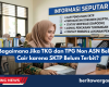 Bagaimana Jika TKG dan TPG Non ASN Belum Cair karena SKTP Belum Terbit?